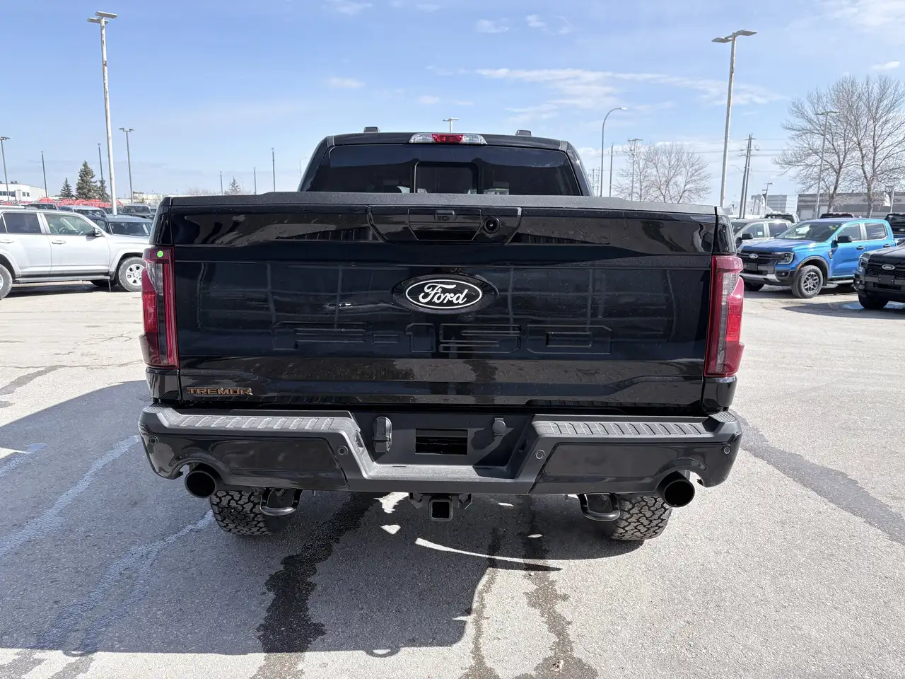 Ford F 150 снимка Ford F 150