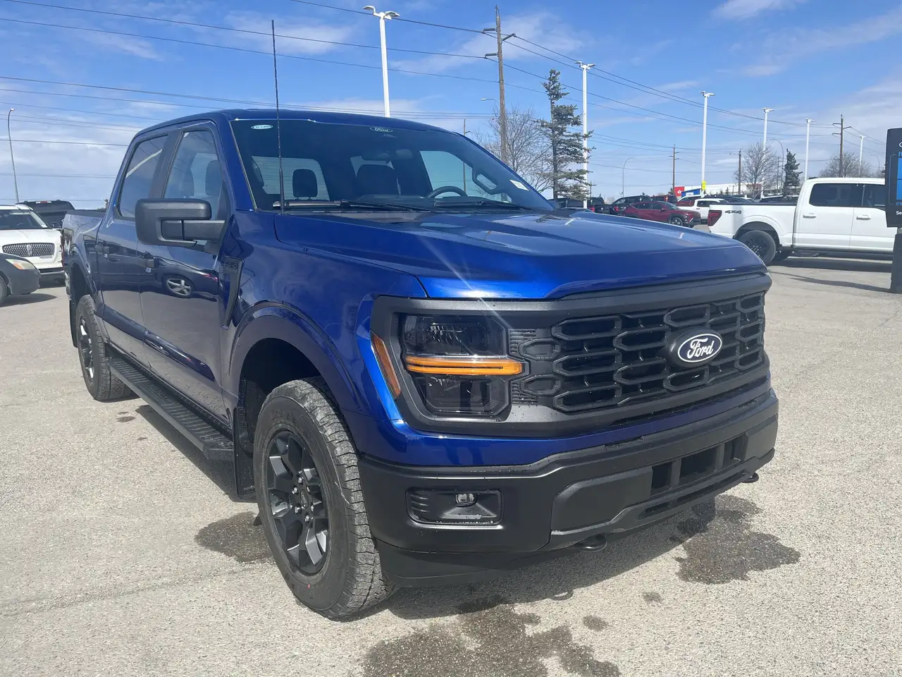 Ford F 150 fotografie Ford F 150