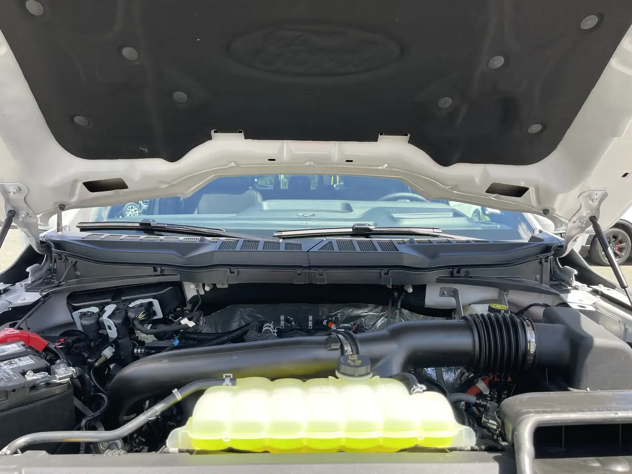 Ford F 150 fotografie Ford F 150