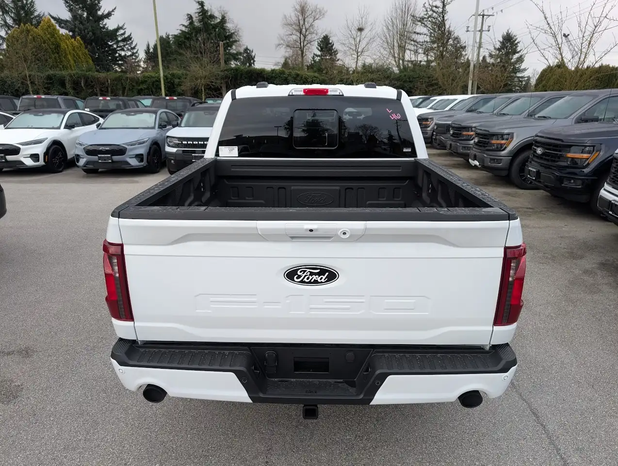 Ford F 150 снимка Ford F 150