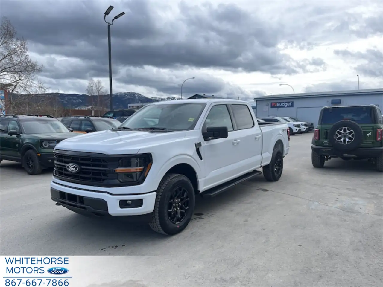 2026 Ford F 150