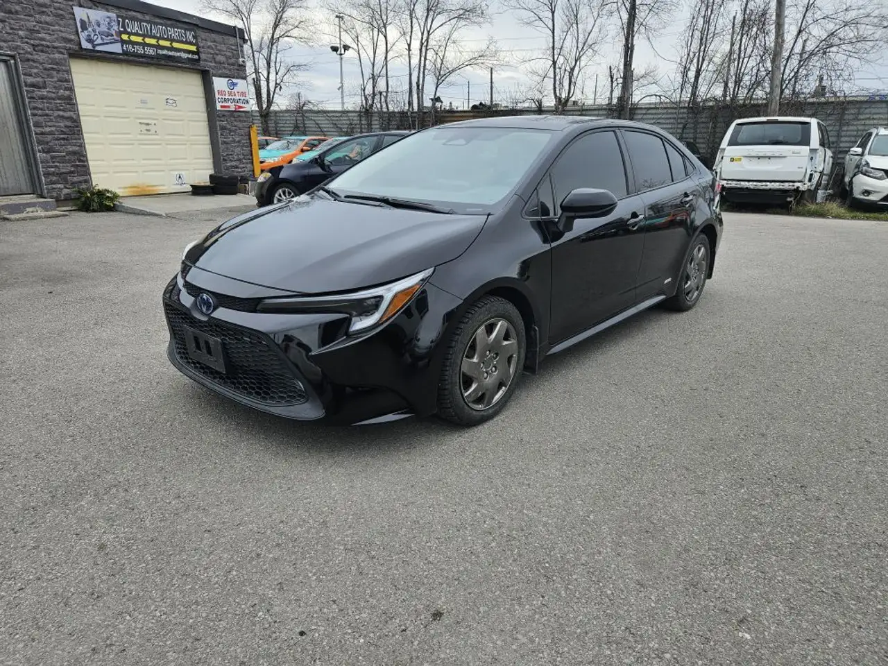 2023 Toyota Corolla
