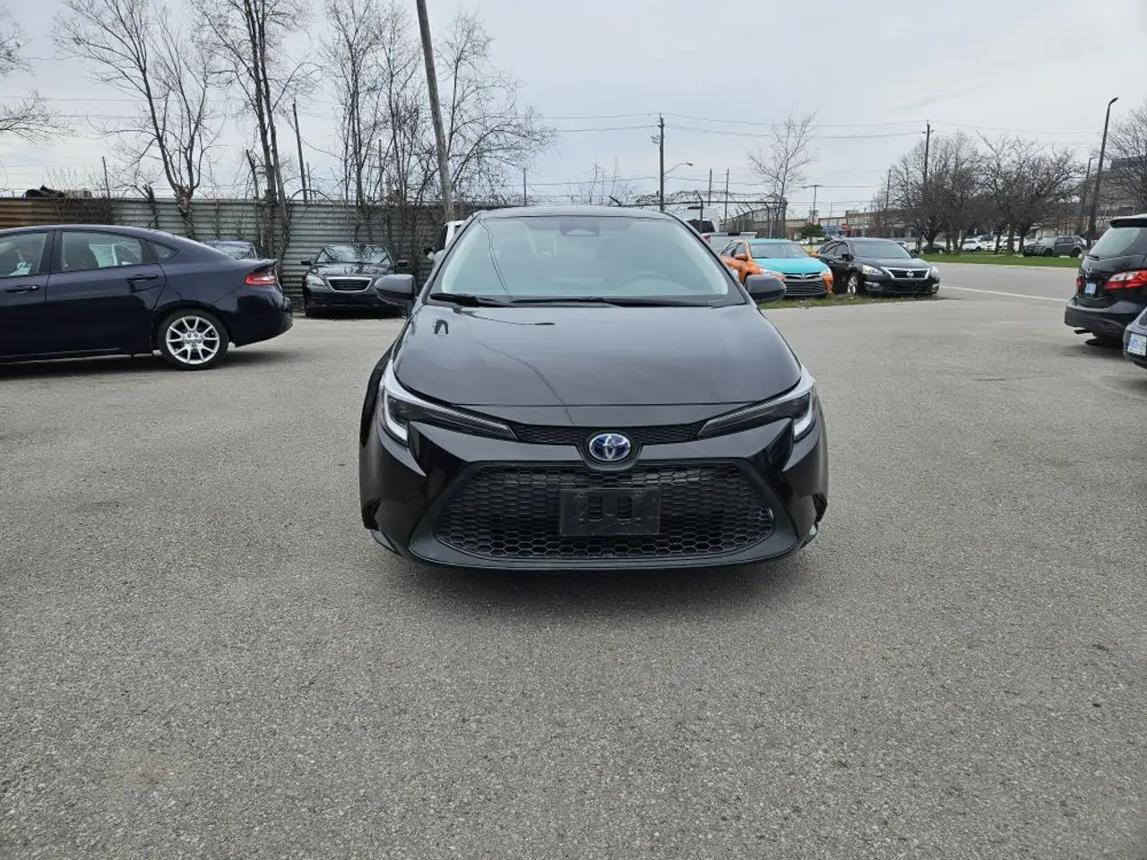 Toyota Corolla photo Toyota Corolla