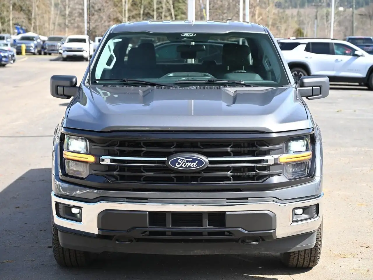 Ford F 150 fotografie Ford F 150