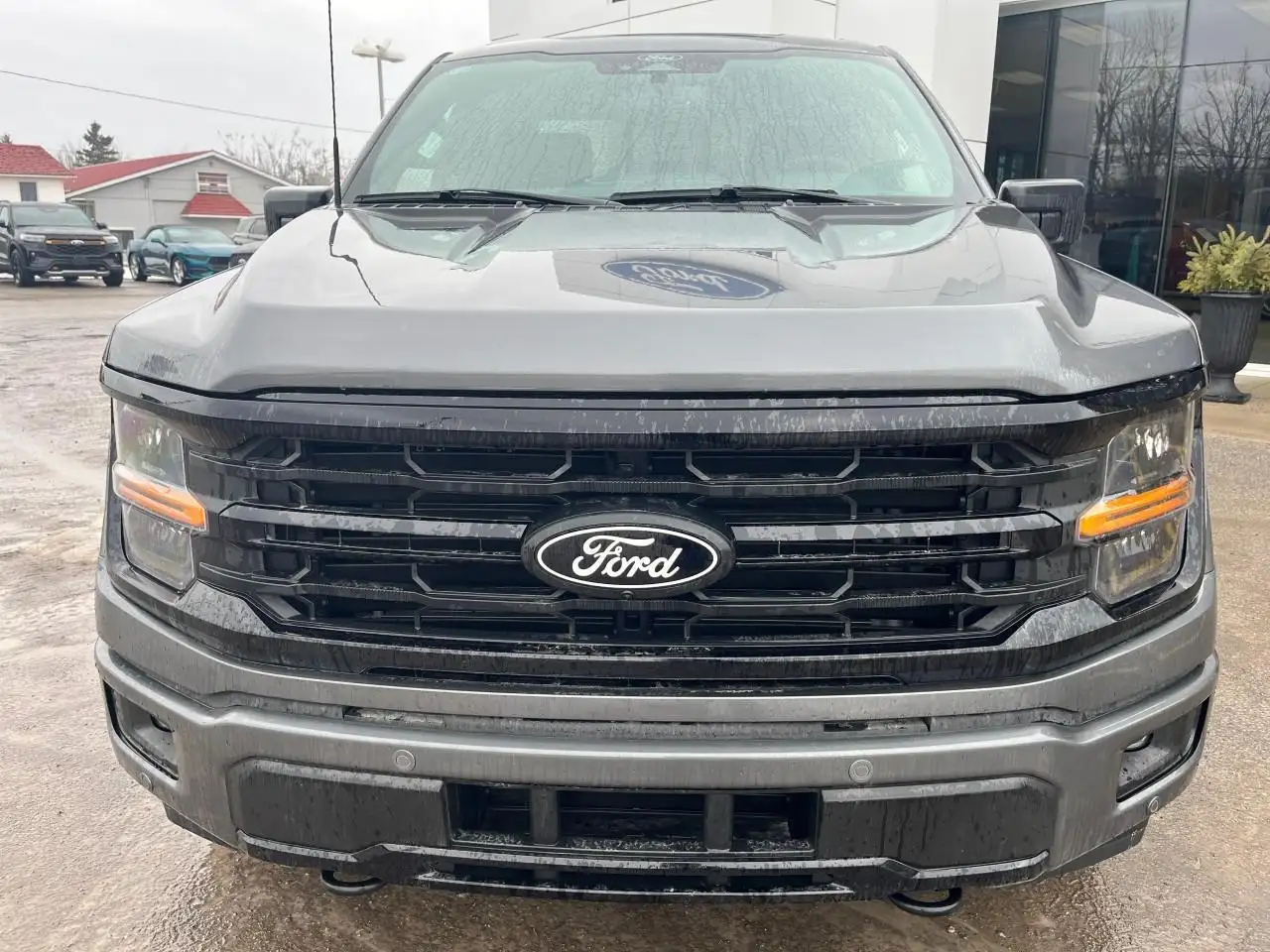 Ford F 150 снимка Ford F 150