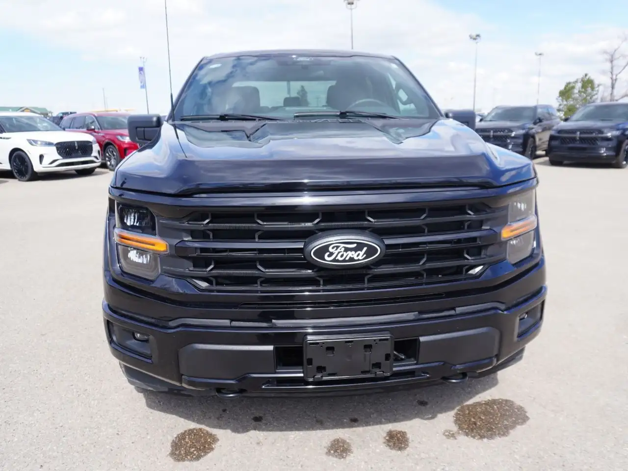 Ford F 150 снимка Ford F 150