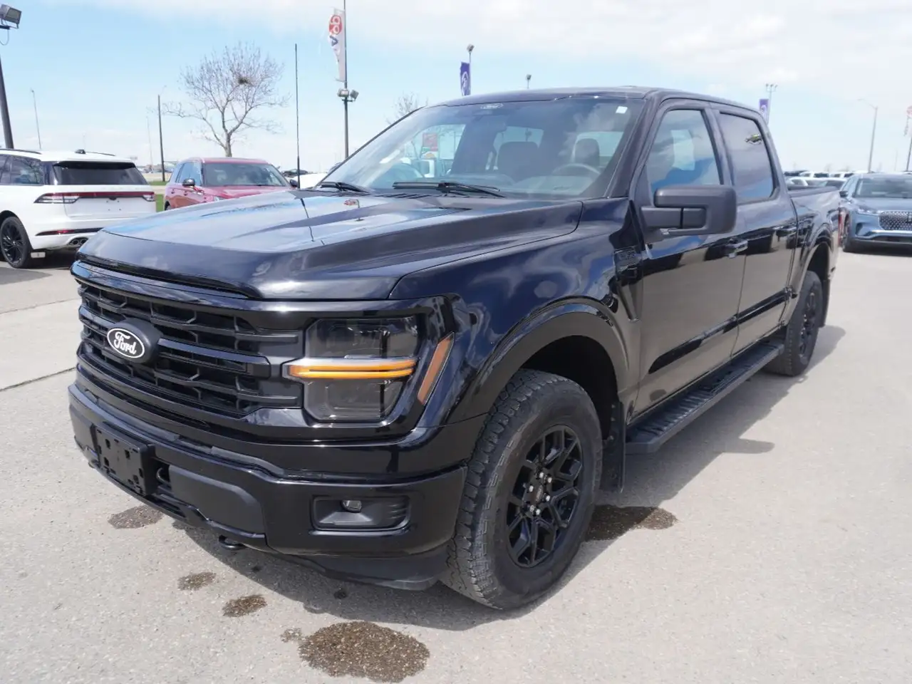 Ford F 150 снимка Ford F 150