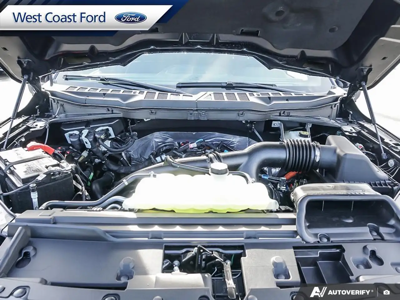 Ford F 150 fotografie Ford F 150