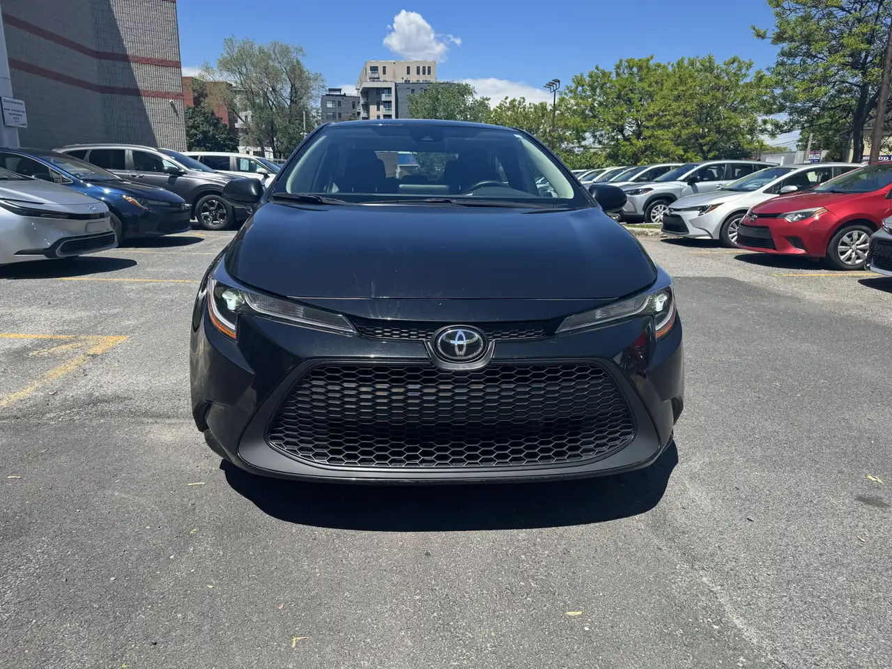 Toyota Corolla снимка Toyota Corolla