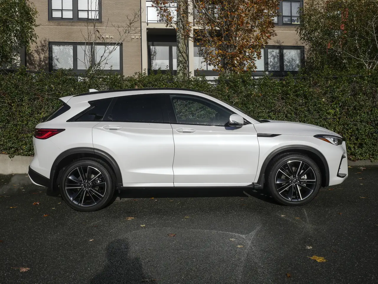 Infiniti QX50 снимка Infiniti QX50