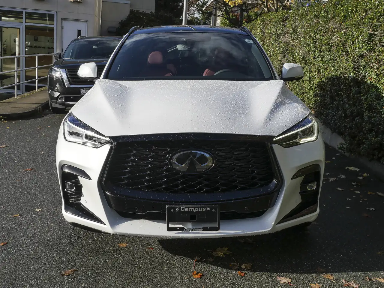 Infiniti QX50 снимка Infiniti QX50