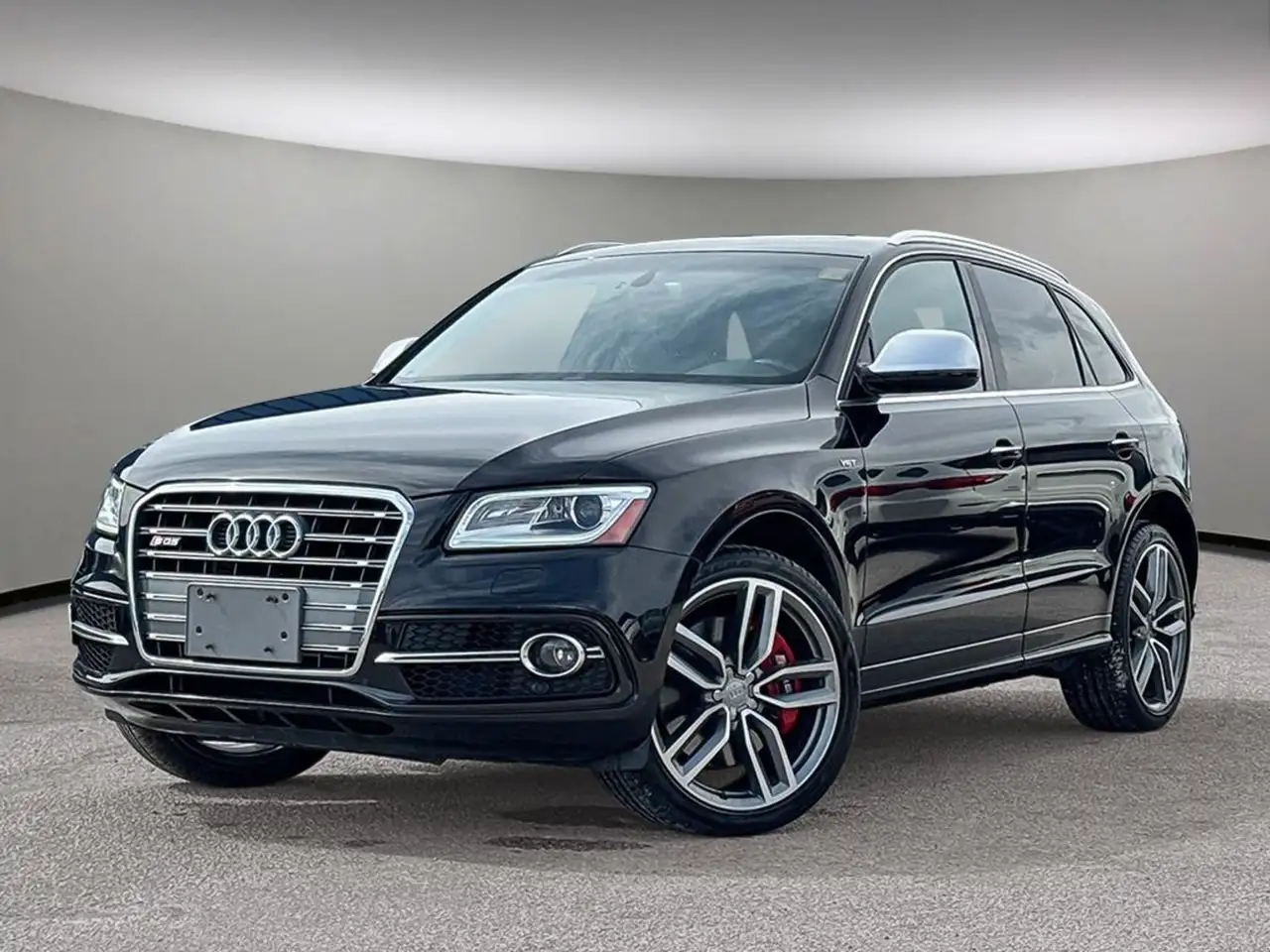 2017 Audi SQ5 fotografie 2017 Audi SQ5