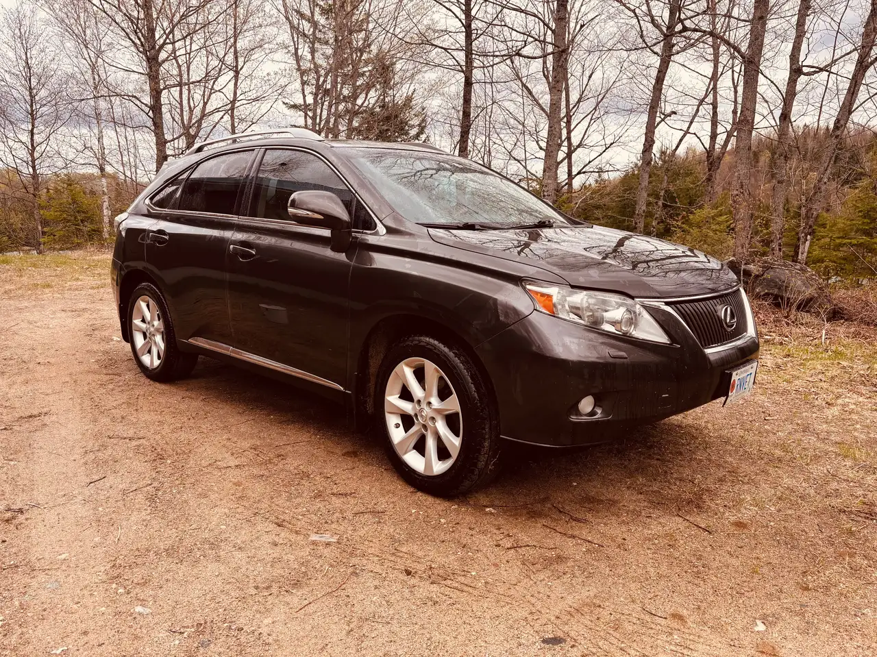 2010 Lexus RX