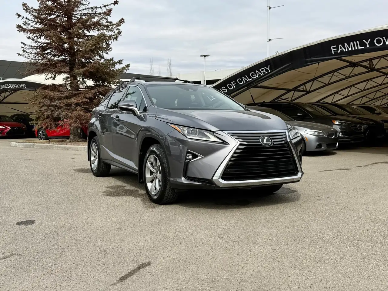 2019 Lexus RX
