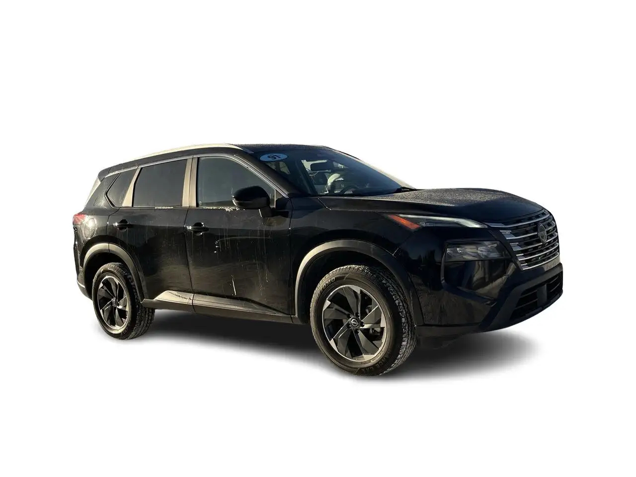 Nissan Rogue fotografie Nissan Rogue