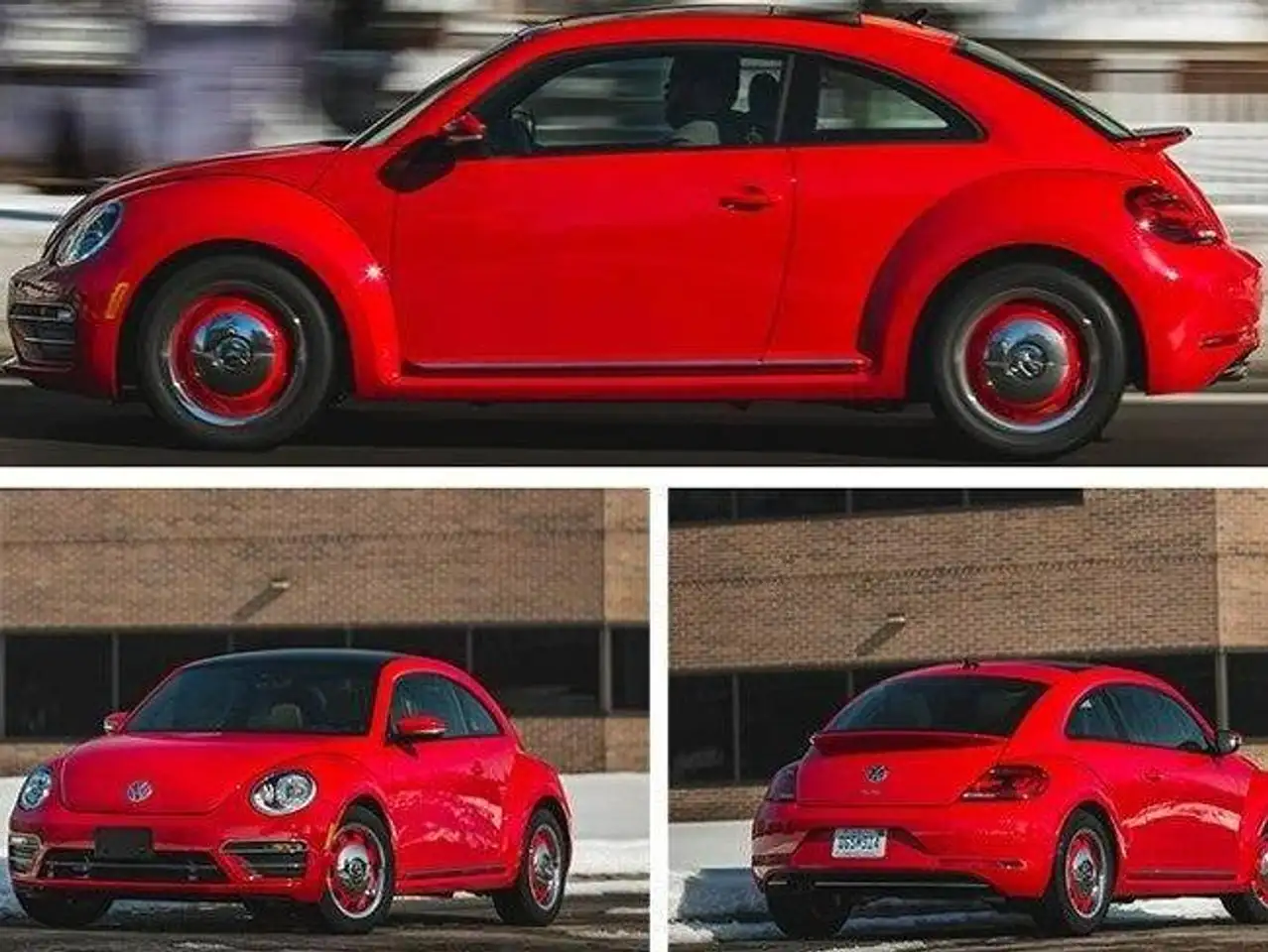 Volkswagen Beetle fotografie Volkswagen Beetle