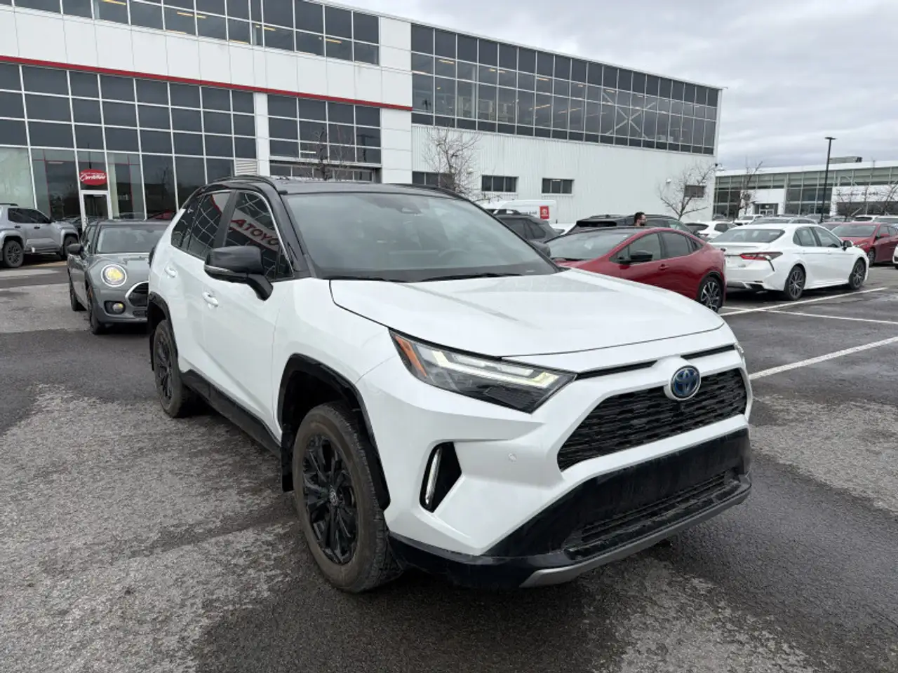 Toyota RAV 4 fotografie Toyota RAV 4