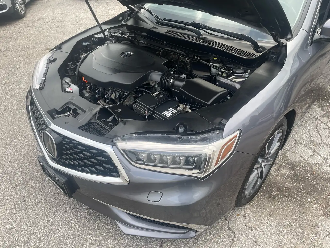 Acura TLX снимка Acura TLX