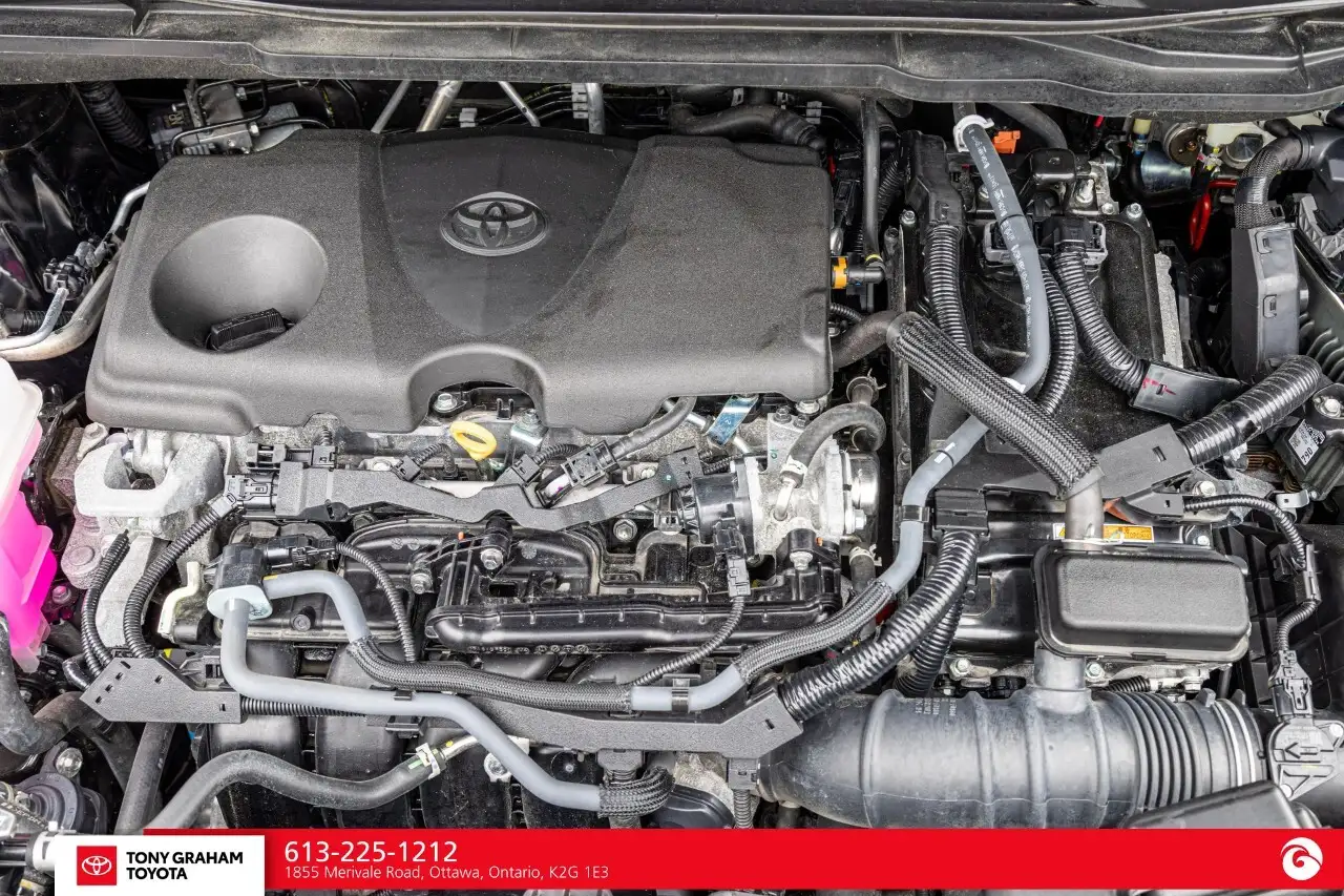 Toyota Sienna fotografie Toyota Sienna