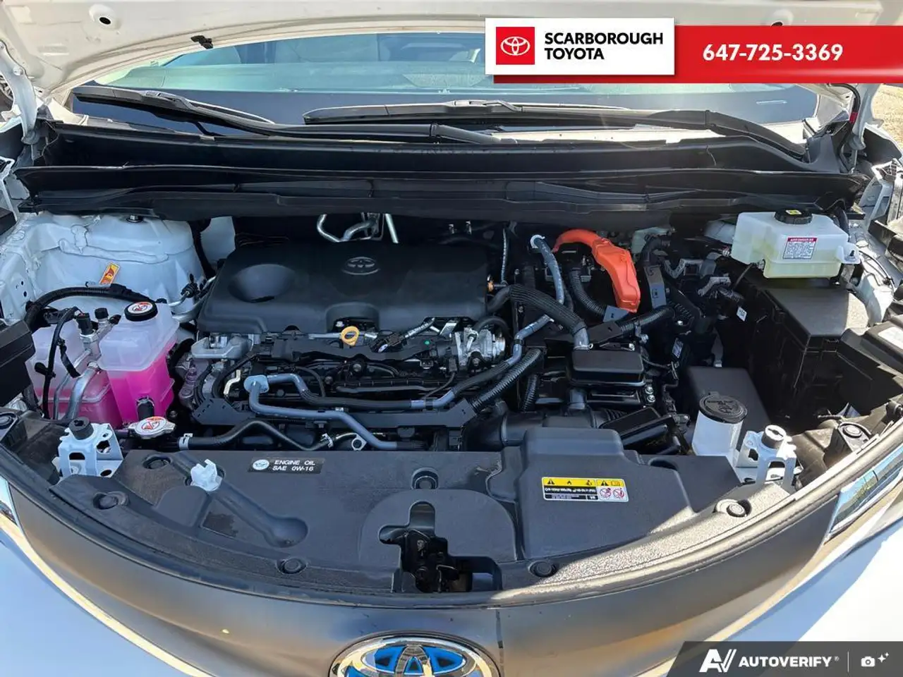 Toyota Sienna снимка Toyota Sienna