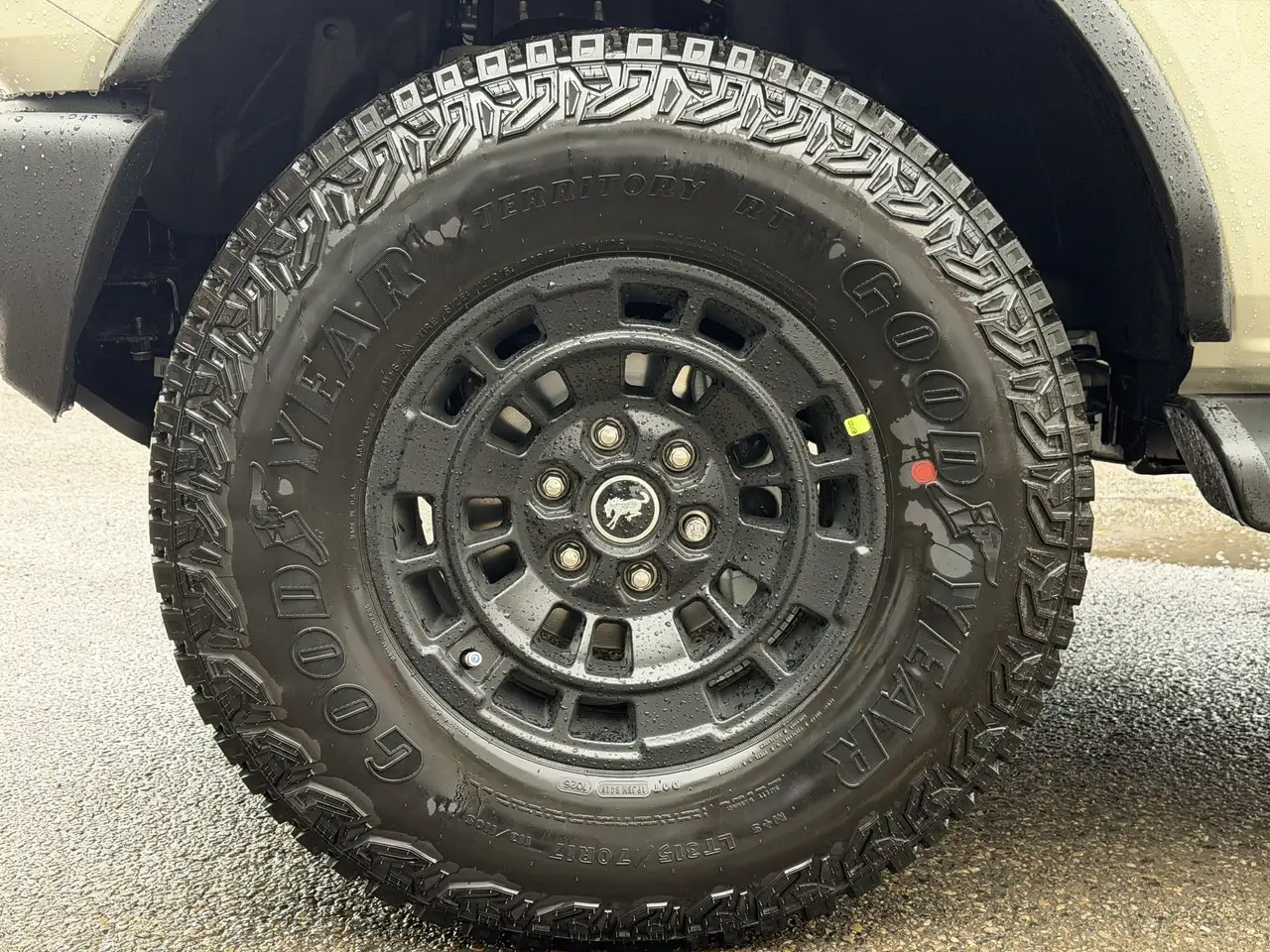 Ford Bronco photo Ford Bronco