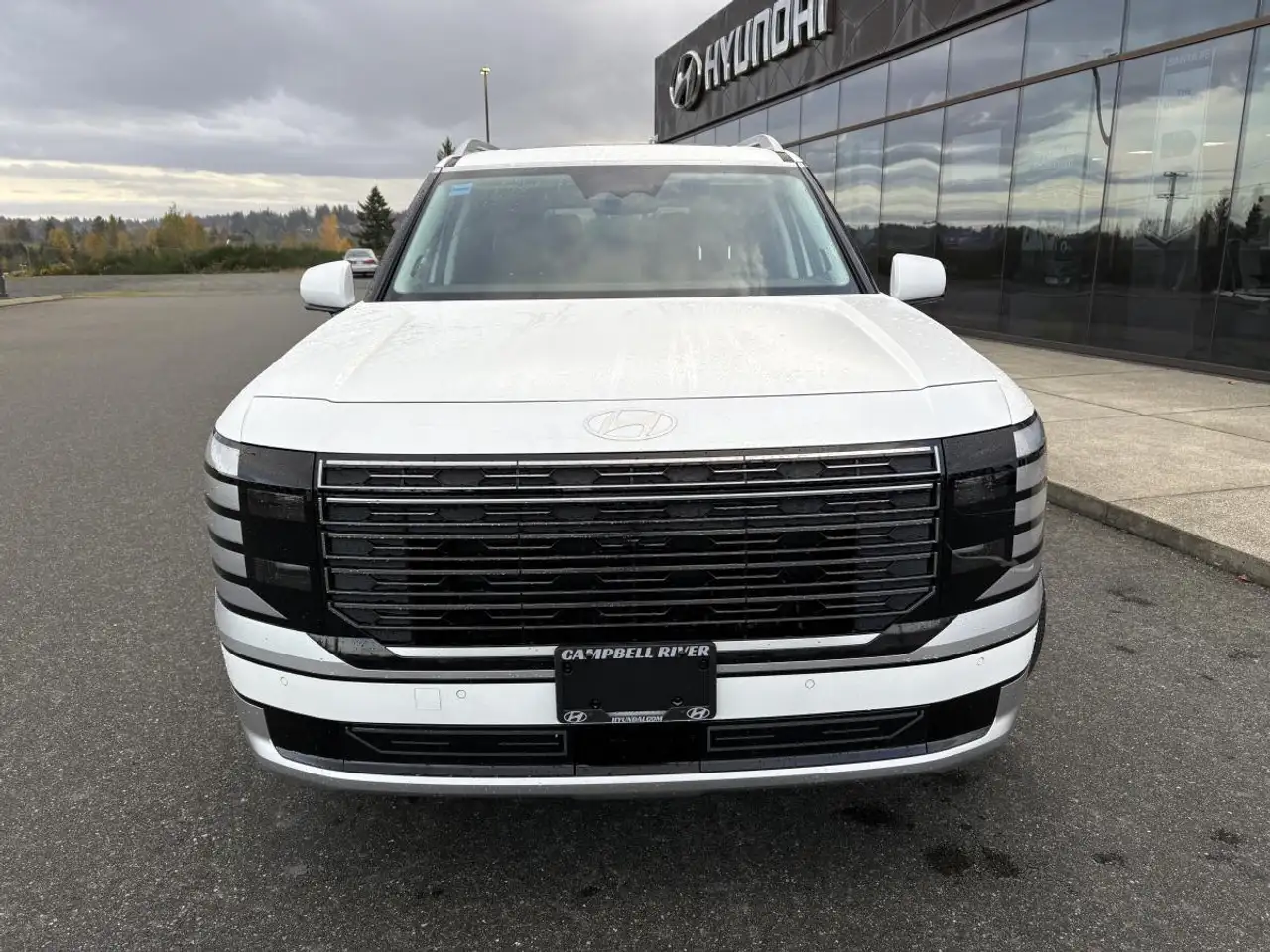 Hyundai PALISADE Hybrid снимка Hyundai PALISADE Hybrid