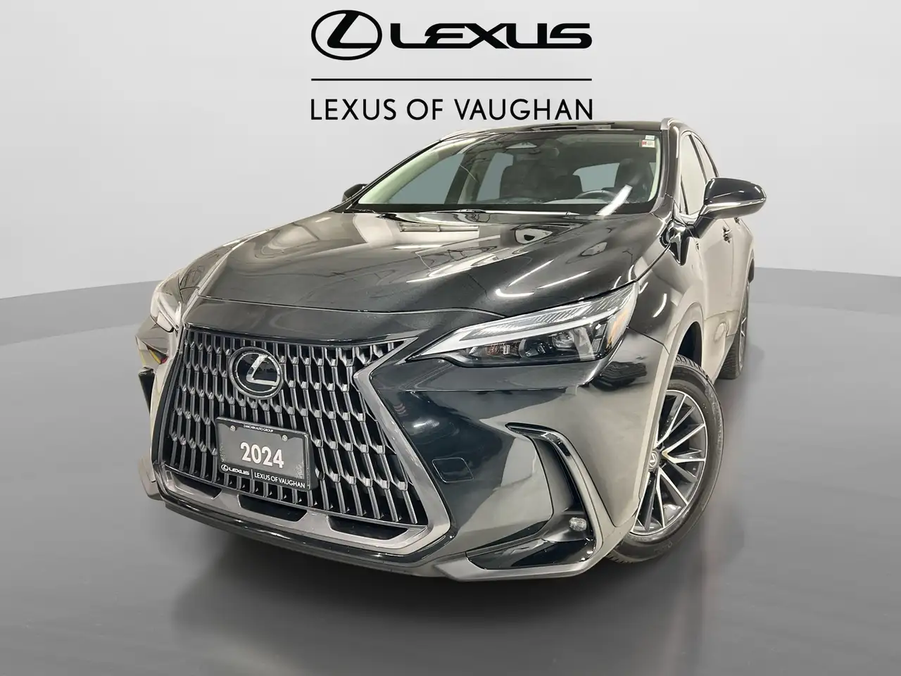 2024 Lexus NX