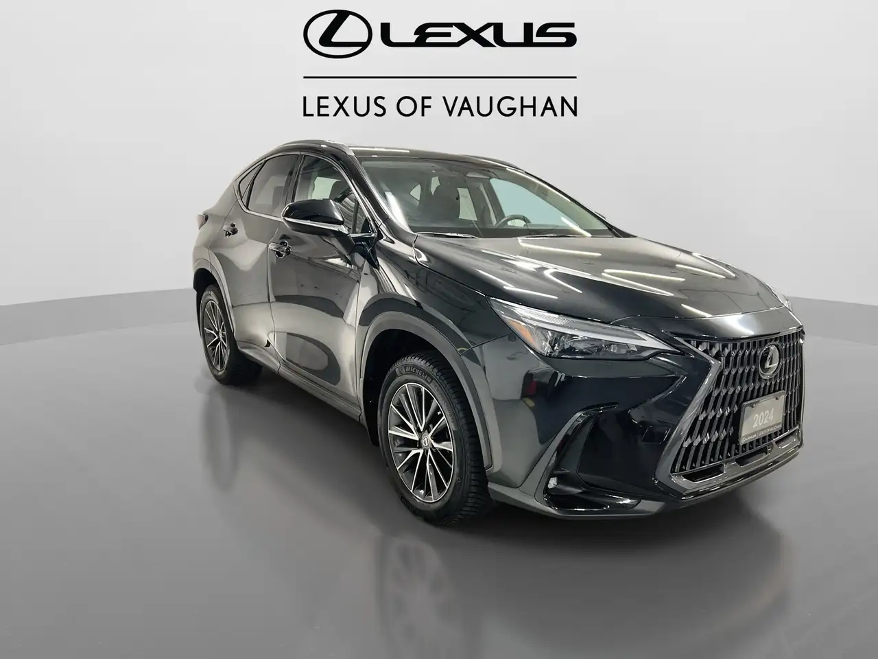 Lexus NX снимка Lexus NX