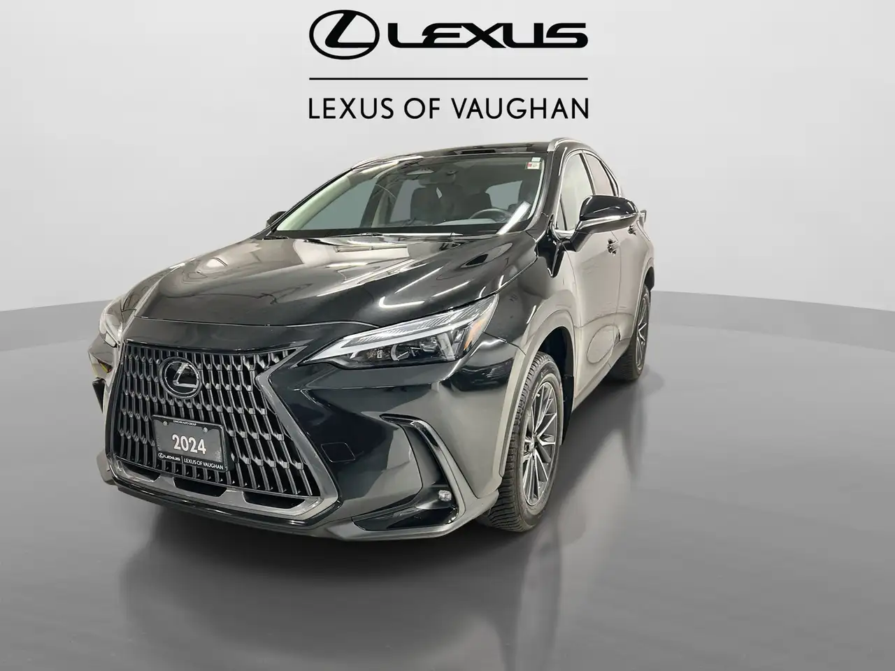 Lexus NX снимка Lexus NX