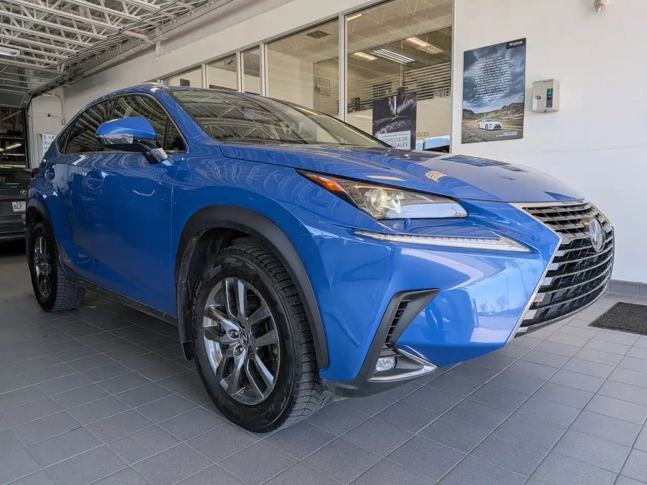 Lexus NX fotografie Lexus NX