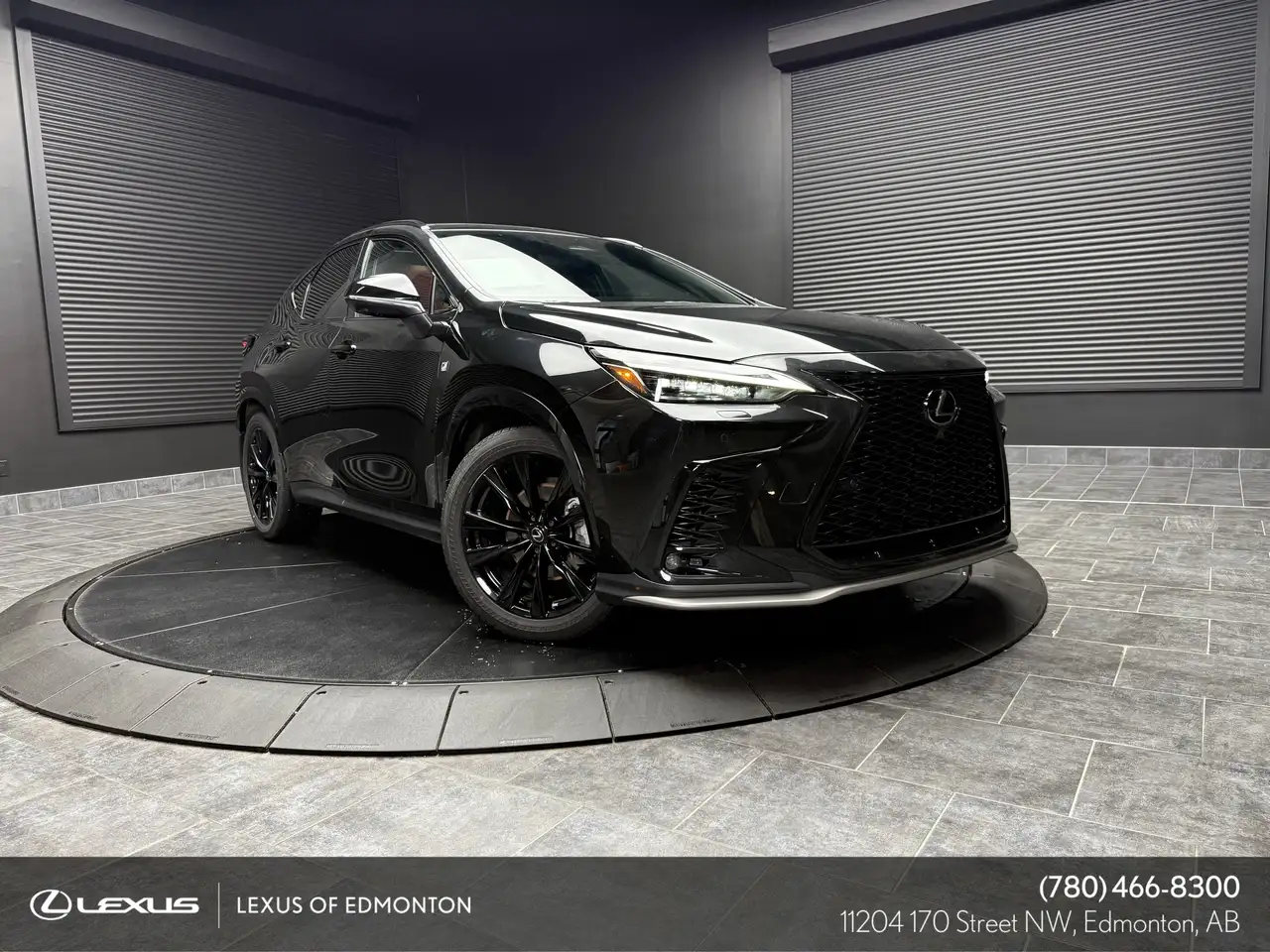 Lexus NX fotografie Lexus NX
