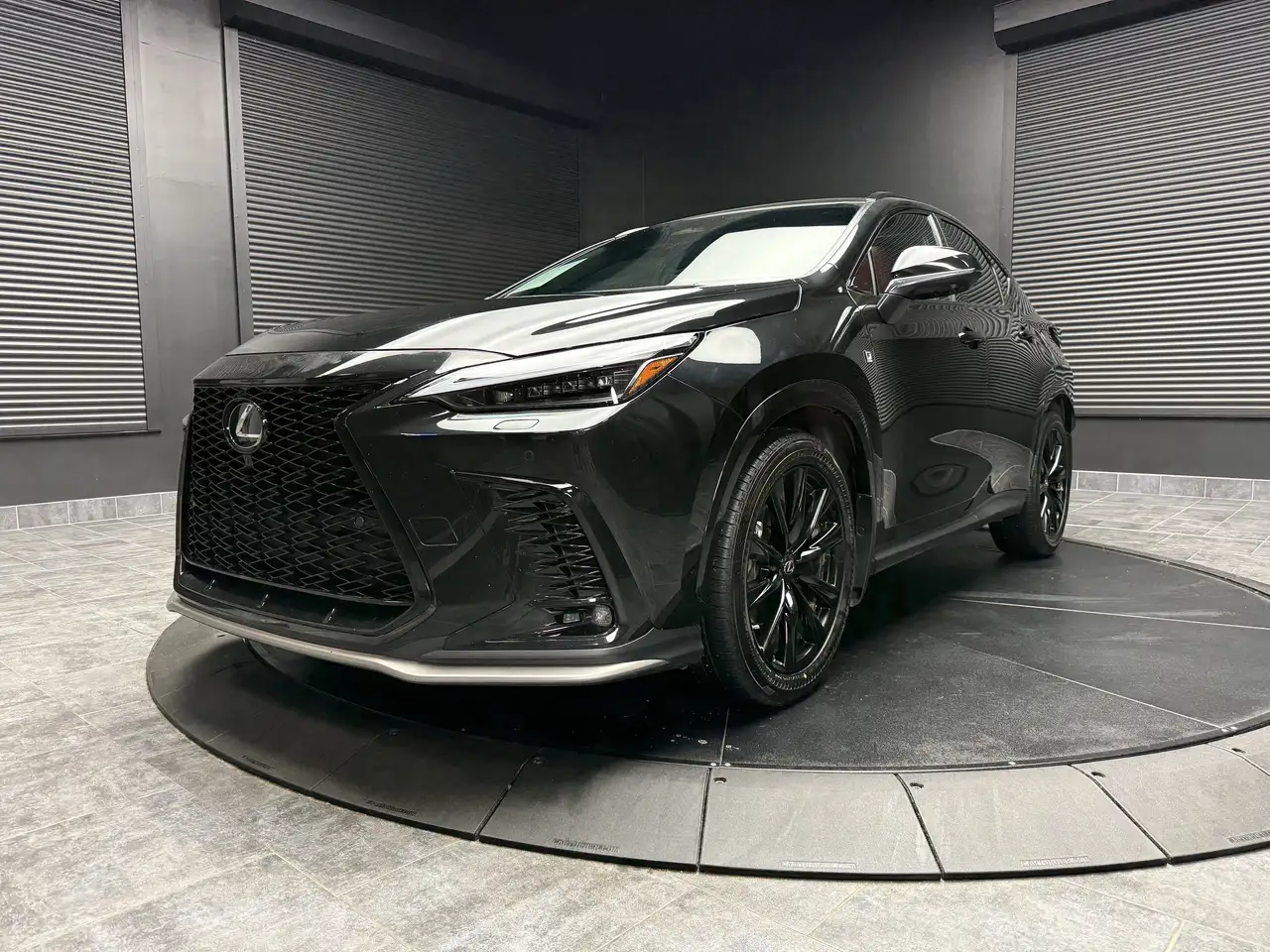 Lexus NX fotografie Lexus NX