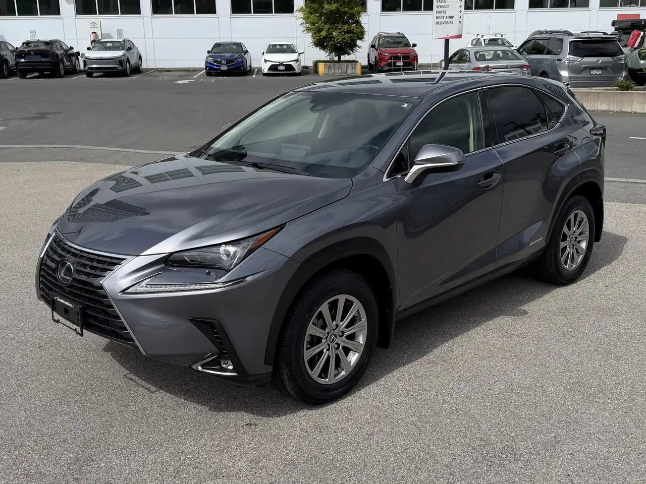 Lexus NX fotografie Lexus NX