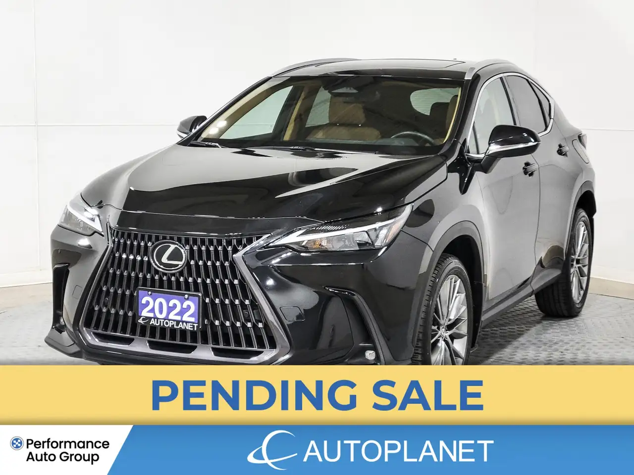 2022 Lexus NX