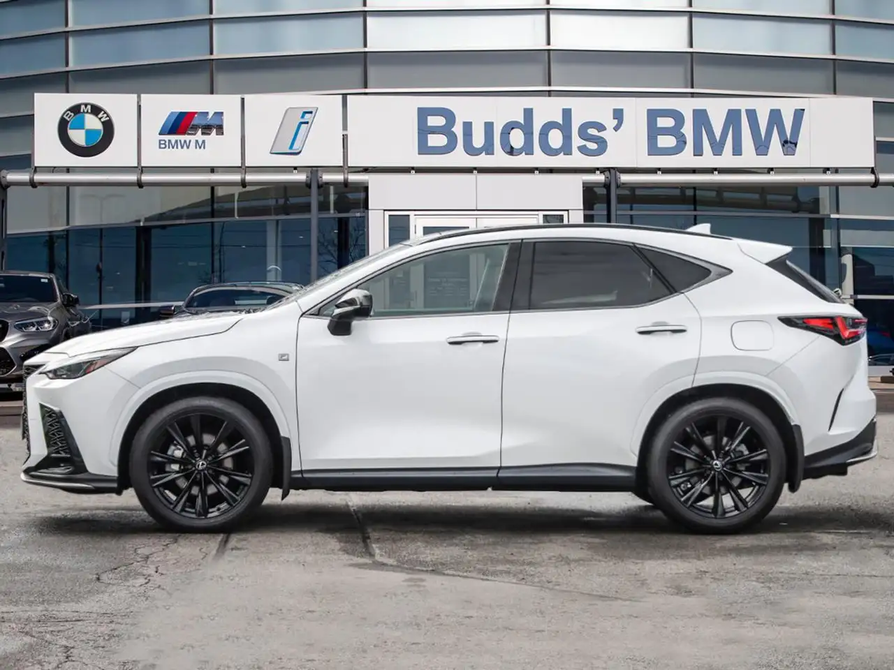 Lexus NX photo Lexus NX
