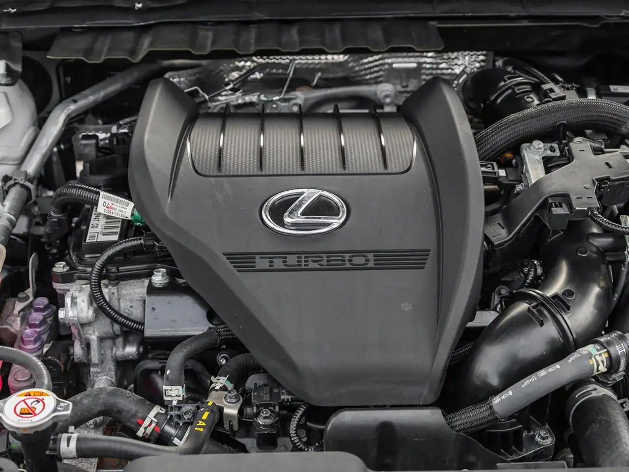 Lexus NX photo Lexus NX