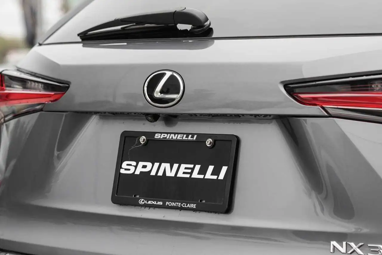 Lexus NX fotografie Lexus NX