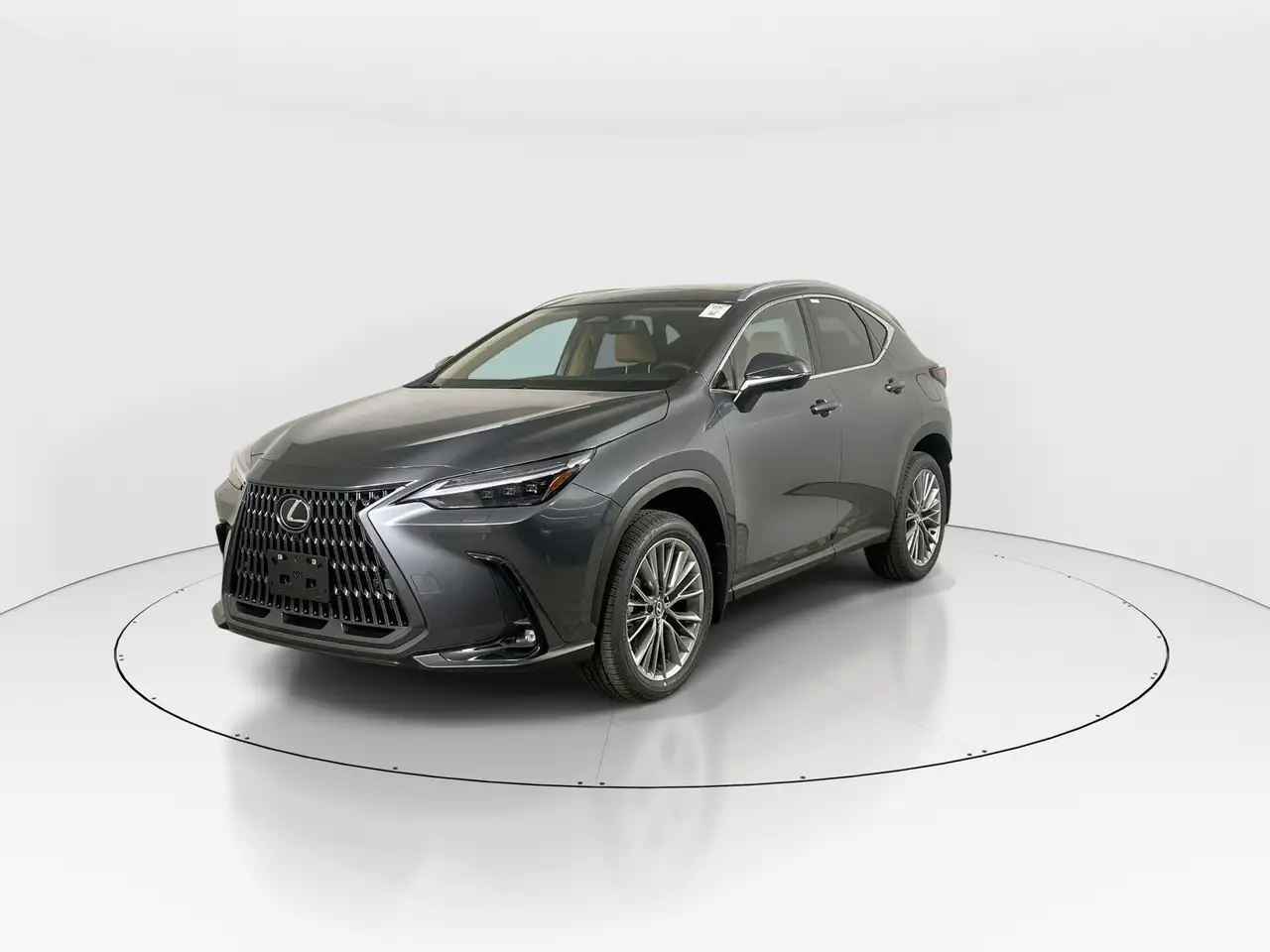 Lexus NX fotografie Lexus NX