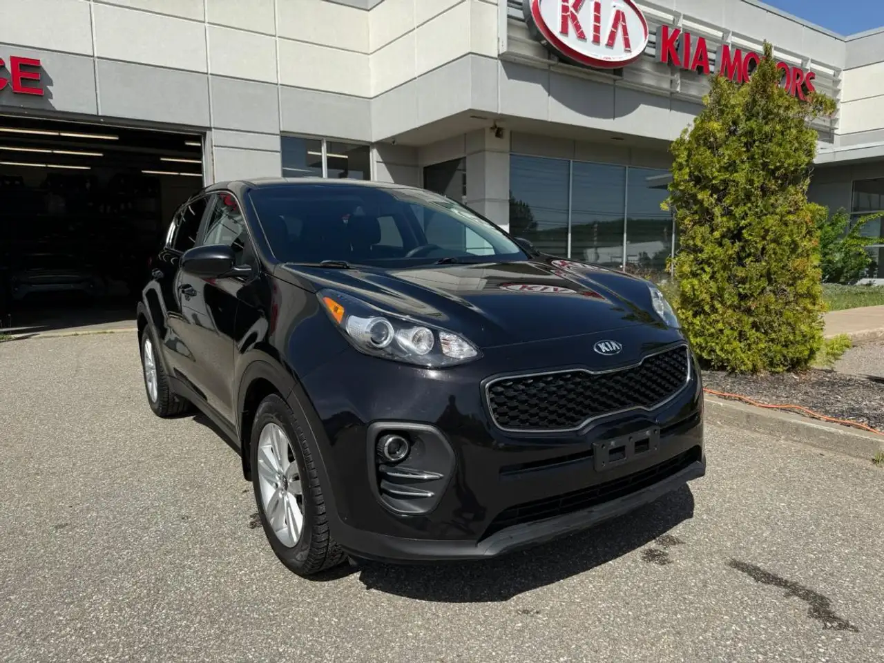2019 Kia Sportage