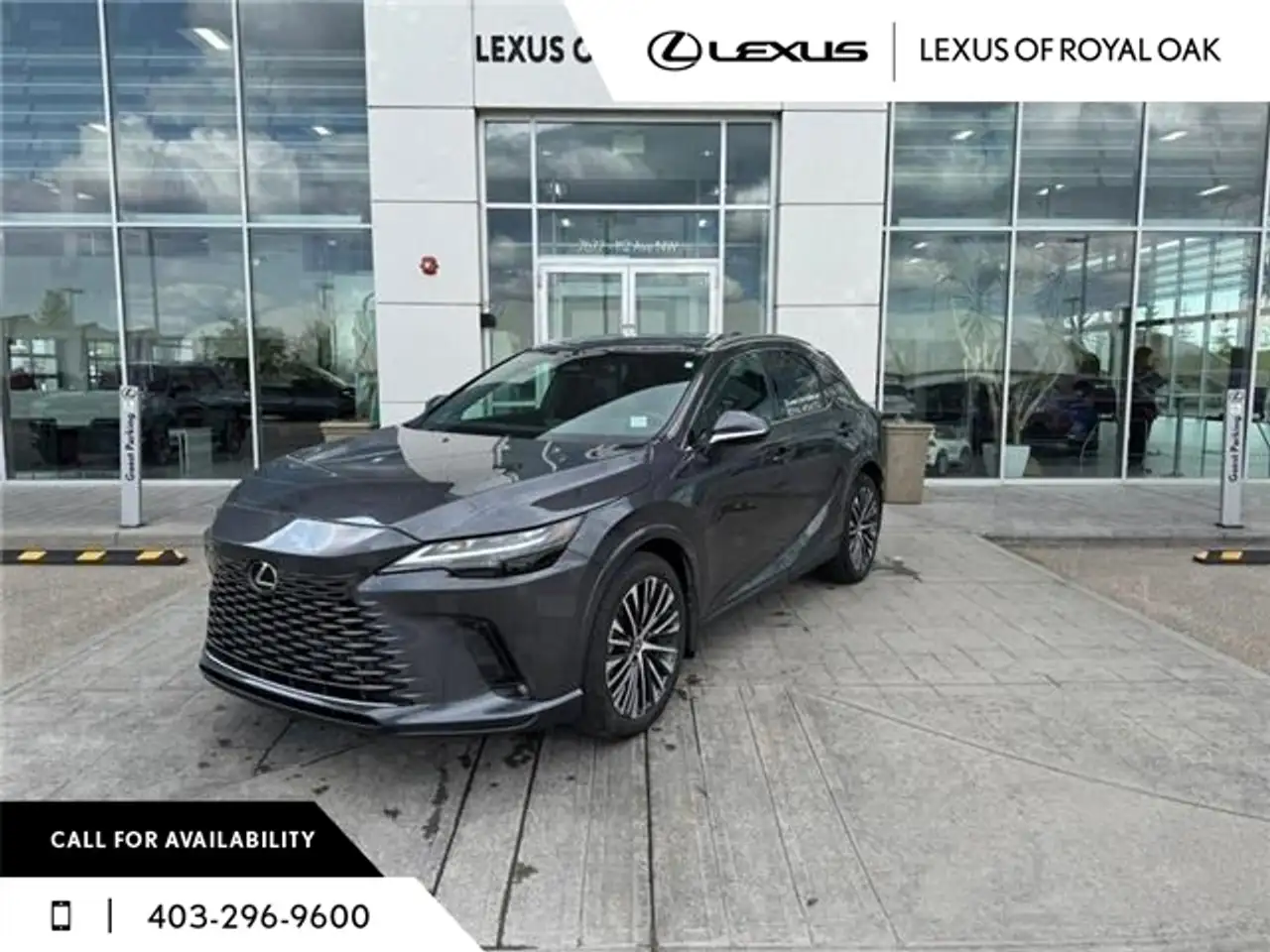 2025 Lexus RX