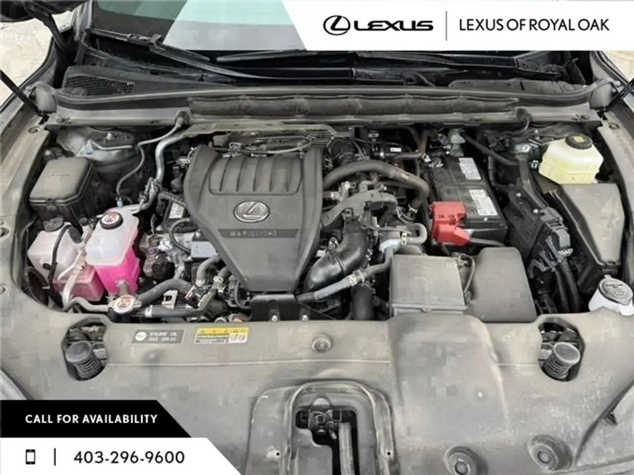 Lexus RX photo Lexus RX