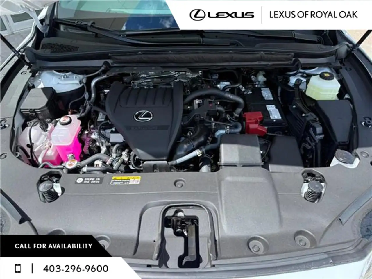 Lexus RX снимка Lexus RX