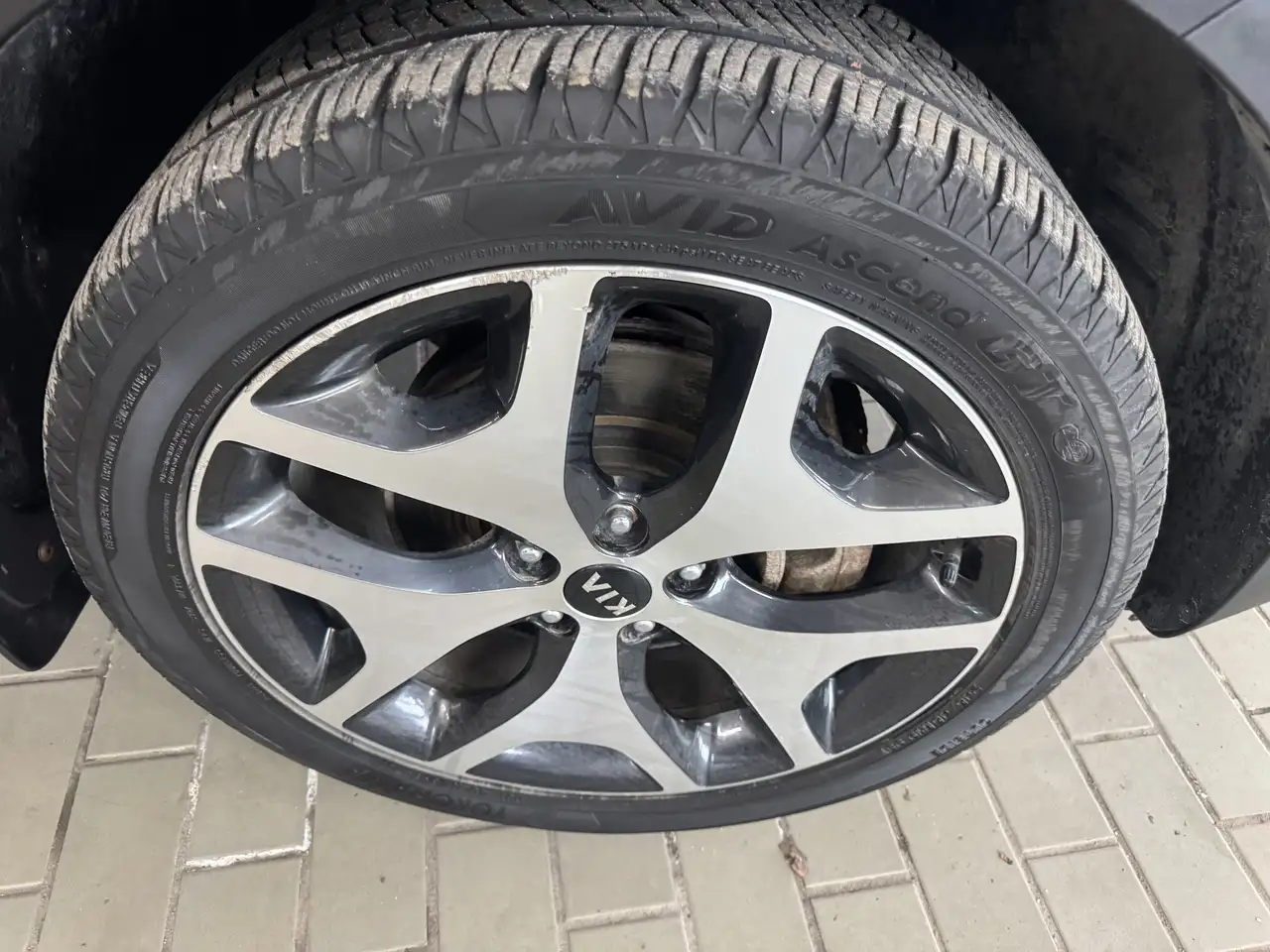 Kia Sportage photo Kia Sportage