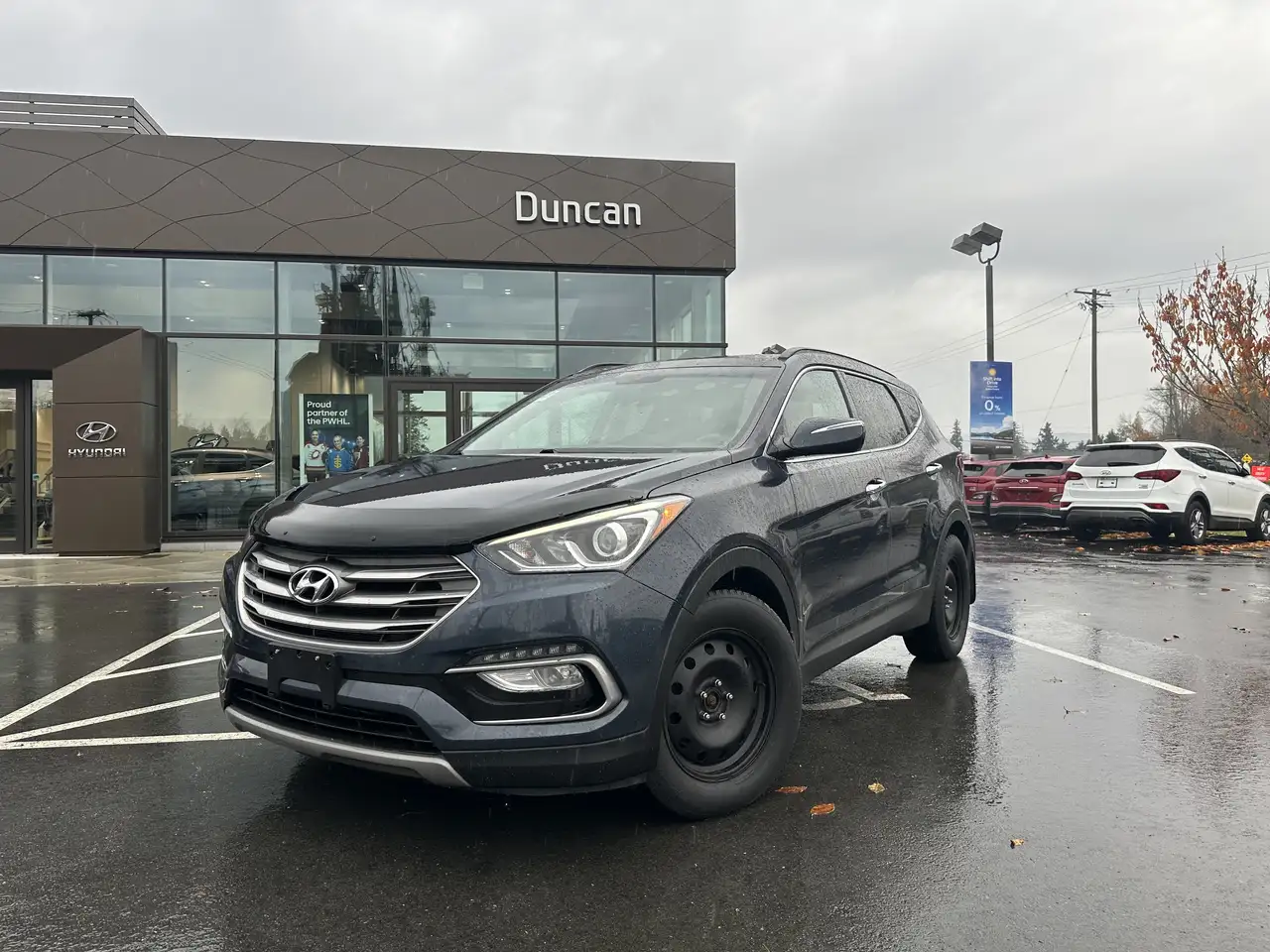 Hyundai SANTA FE fotografie Hyundai SANTA FE
