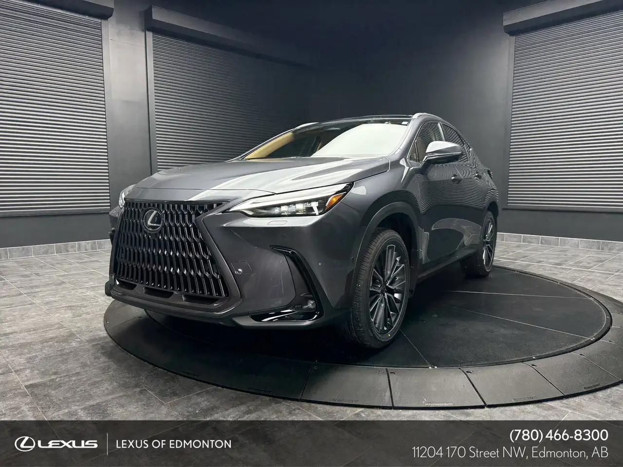 2026 Lexus NX