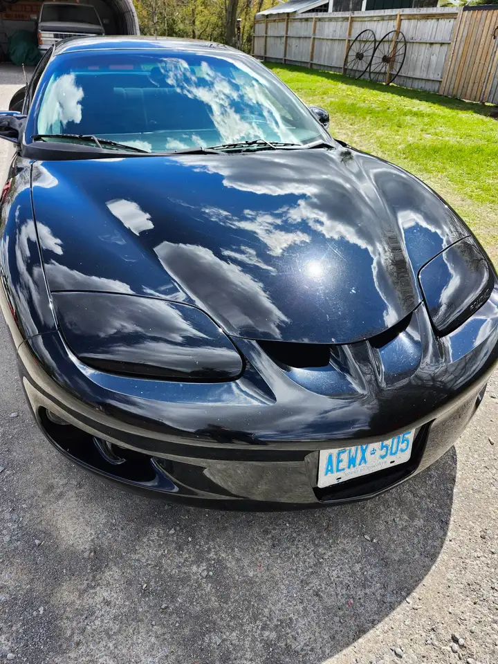 Pontiac Firebird снимка Pontiac Firebird
