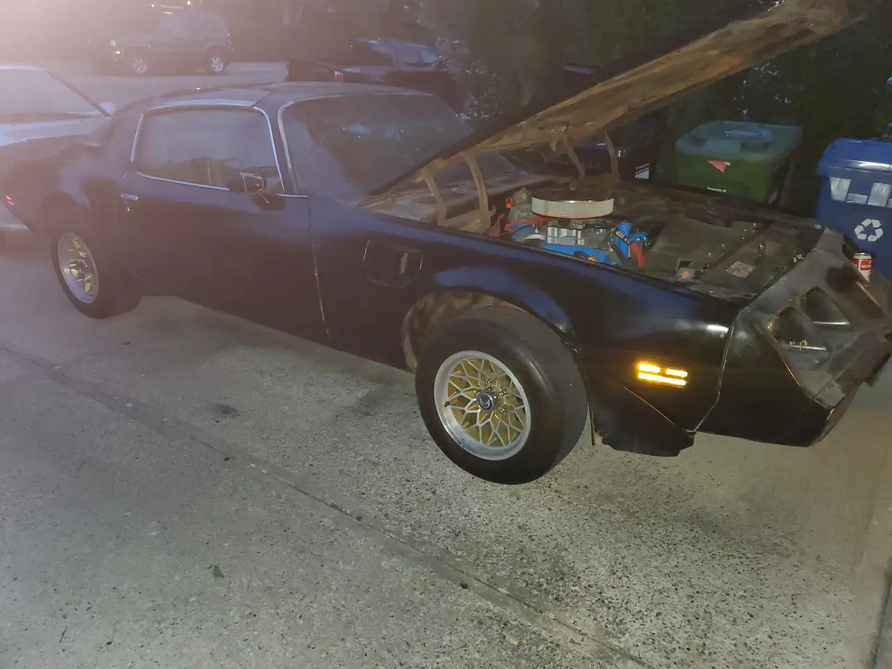 1981 Pontiac Firebird
