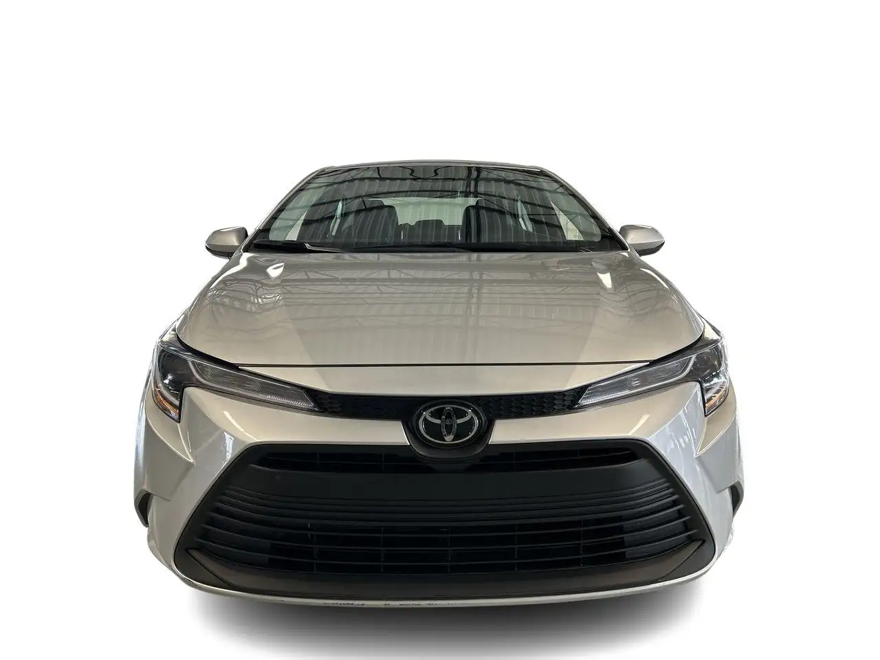 Toyota Corolla fotografie Toyota Corolla