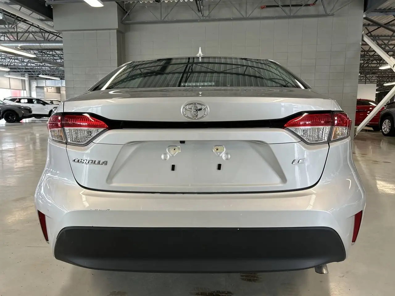 Toyota Corolla fotografie Toyota Corolla
