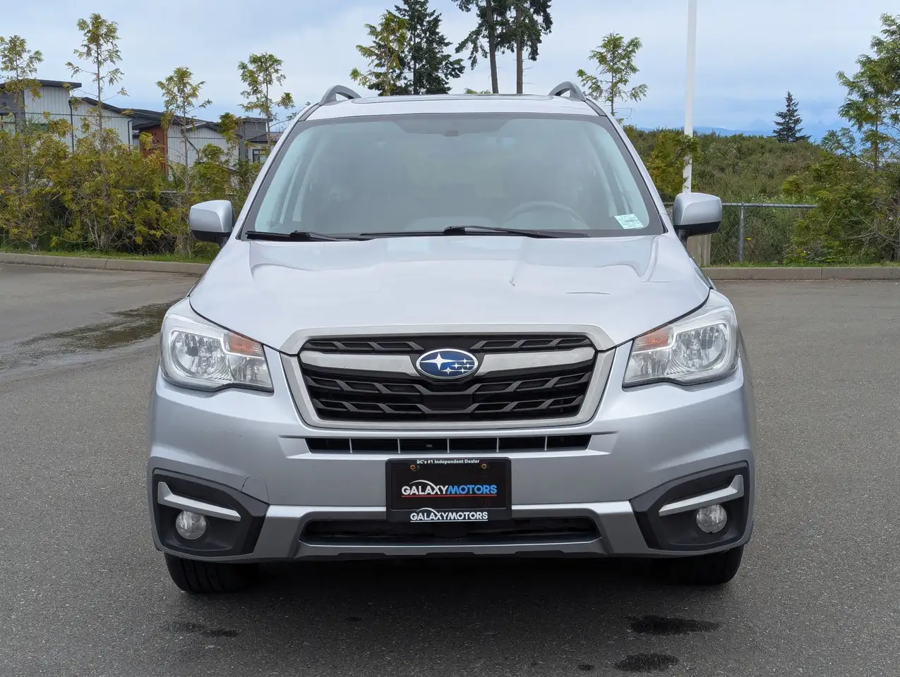 Subaru Forester fotografie Subaru Forester